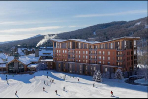 New luxury ski in ski out 4 bedroom at One At Spruce Peak Stowe